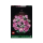 Klocki LEGO® LEGO BOTANICALS 10374 Bukiet różowych róż